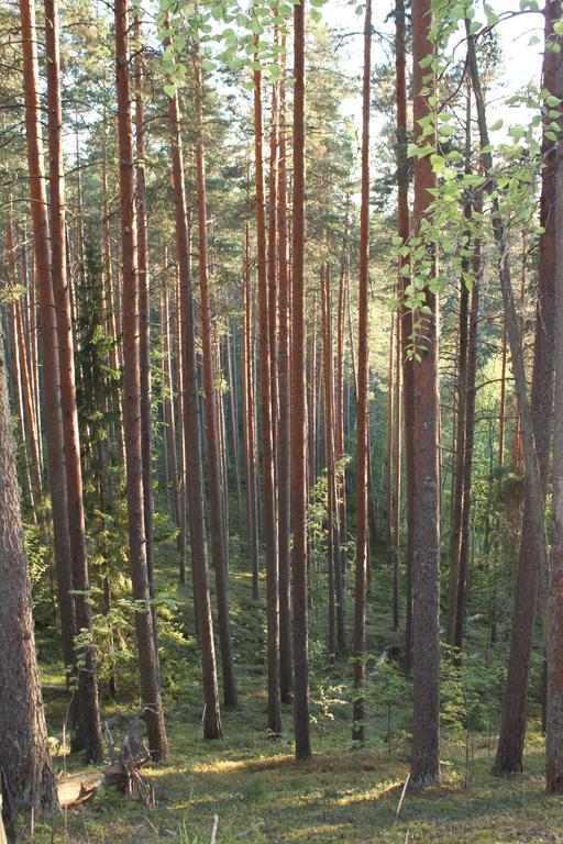Hotel Kruunupuisto プンカハルユ エクステリア 写真